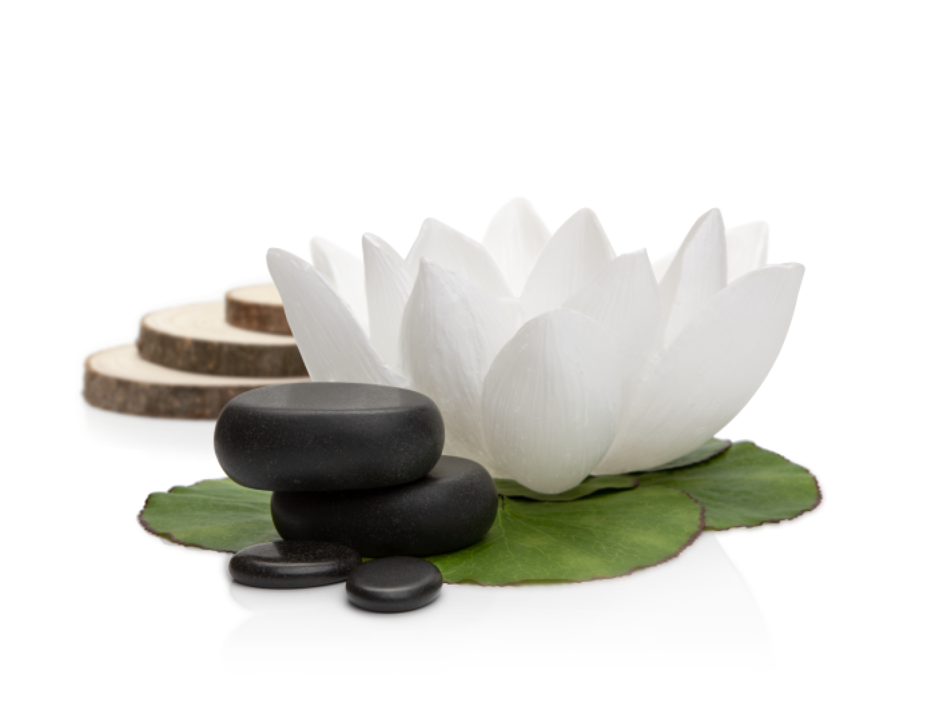 <p>Massaggio geotermico indicato per un totale rilassamento della mente e del corpo attraverso l'uso di pietre vulcaniche calde e oli essenziali aromatici. Un antico rituale che ci porta una moltitudine di benefici fisici e sensoriali.</p>
<p>Kit di 4 Pietre Vulcaniche & usb con video passo a passo della manualità.</p>